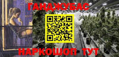 крисы Кунгур