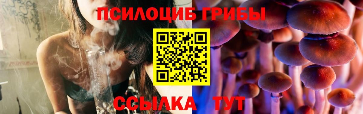 купить закладку  Вход с VPN  Псилоцибиновые грибы мицелий  Златоуст  Псилоцибиновые грибы GOLDEN TEACHER 